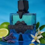 French Avenue - Aromatics Magnetiq